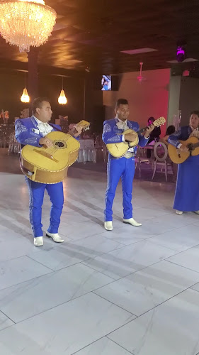 Mariachi alma mexicana de houston texas