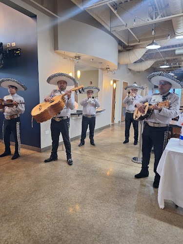 Mariachi jalisciense de Chicago