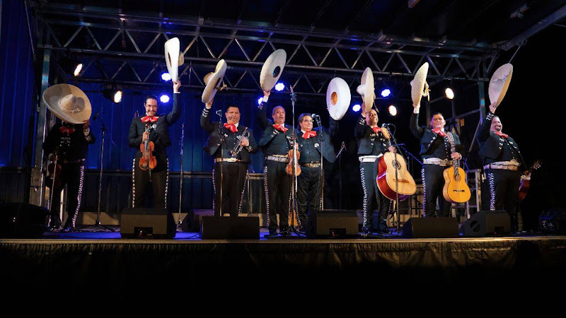 Mariachi Melodias De Mexico