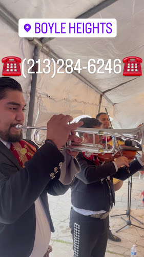 Mariachi México en la piel