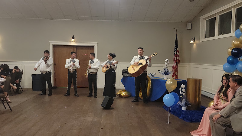Mariachi Sones De Mi Tierra