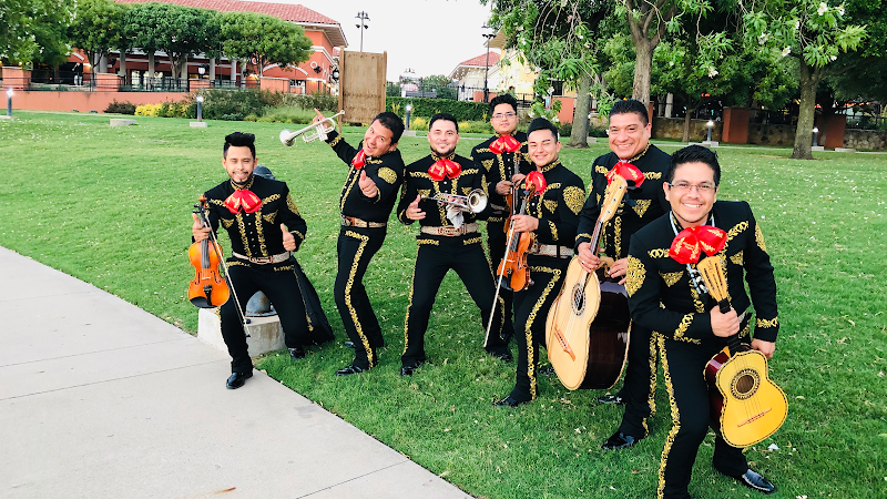 Mariachi viajero